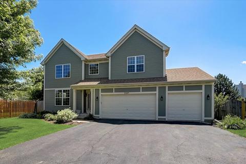 25117 Bicentennial Ct, Plainfield, IL 60544 photo 2