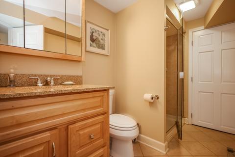 26 W222 Tomahawk Dr, Wheaton, IL 60189 photo 25
