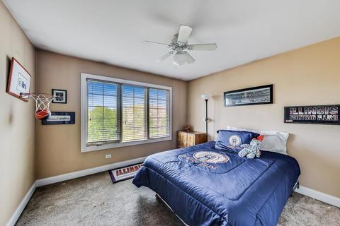 13251 Skyline Dr, Plainfield, IL 60585 photo 24