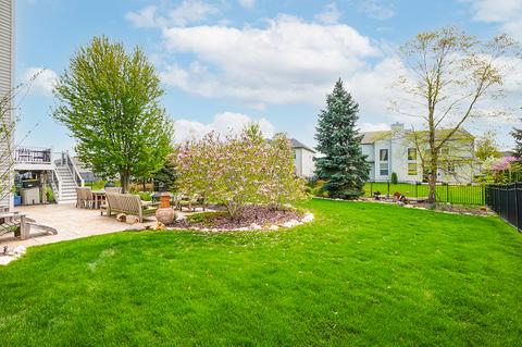 24909 Blue Iris Ct, Plainfield, IL 60585 photo 38