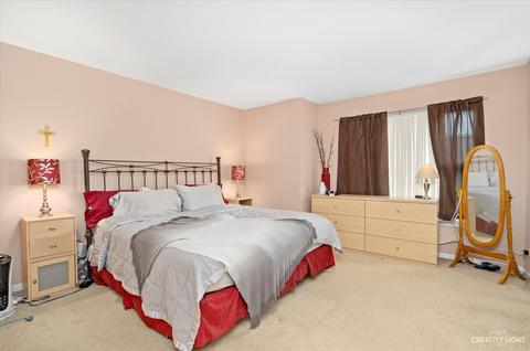 538 Declaration Ln, Aurora, IL 60502 photo 11