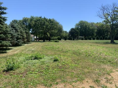 203 S Garfield St, Broadlands, IL 61816