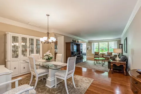 2817 Cascade Falls Cir, Elgin, IL 60124 photo 9