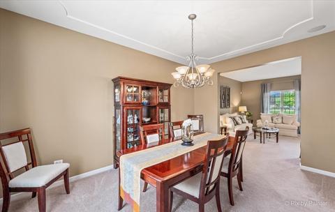 26748 Lindengate Cir, Plainfield, IL 60585 photo 18