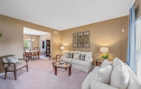26748 Lindengate Cir, Plainfield, IL 60585 photo 15
