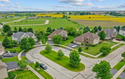 26748 Lindengate Cir, Plainfield, IL 60585 photo 49