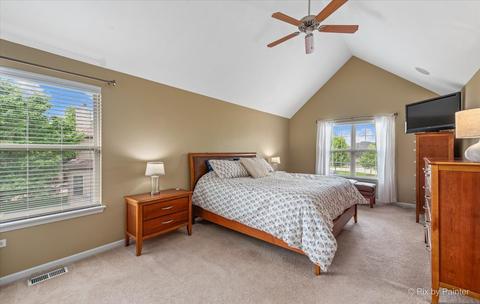 26748 Lindengate Cir, Plainfield, IL 60585 photo 22