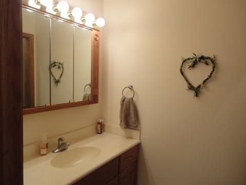 813 Edgewater Dr, Morris, IL 60450 photo 35