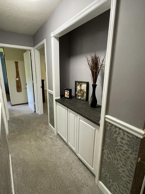 13564 Treva Dr, Morrison, IL 61270 photo 12