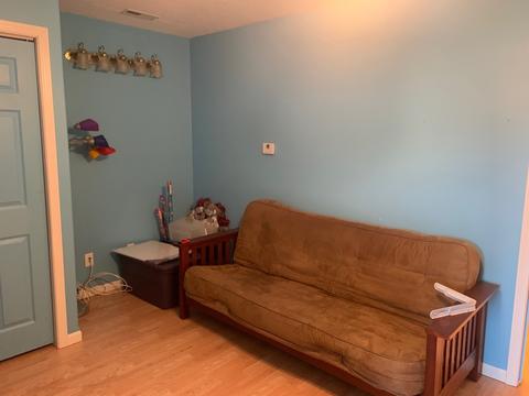 308 S White St, Sidney, IL 61877 photo 45