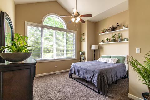 48 Northfield Ter, Wheeling, IL 60090 photo 24