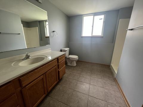 3336 Willow Ln, Markham, IL 60428 photo 18