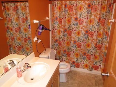 24211 Leski Ln, Plainfield, IL 60585 photo 23