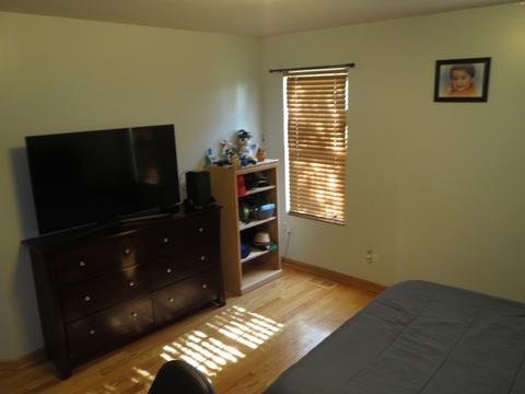 24211 Leski Ln, Plainfield, IL 60585 photo 28