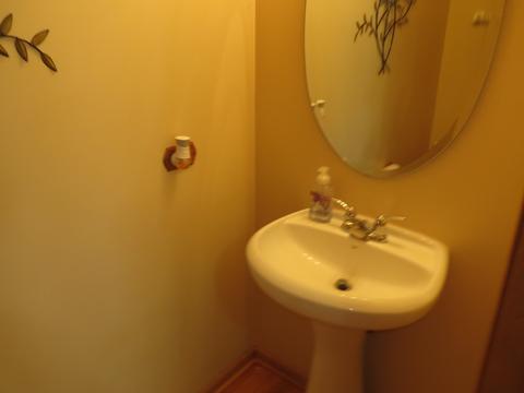 24211 Leski Ln, Plainfield, IL 60585 photo 32