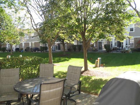 24211 Leski Ln, Plainfield, IL 60585 photo 38
