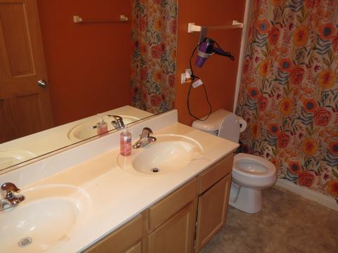 24211 Leski Ln, Plainfield, IL 60585 photo 22