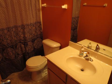 24211 Leski Ln, Plainfield, IL 60585 photo 27