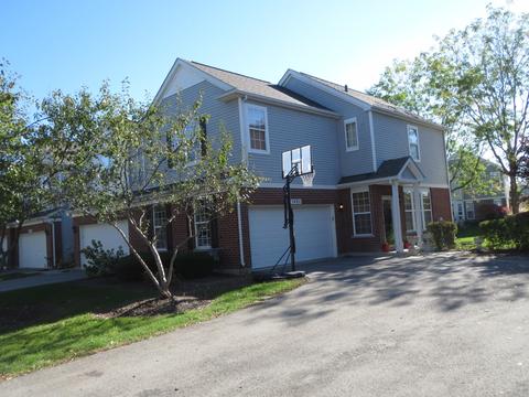 24211 Leski Ln, Plainfield, IL 60585 photo 2