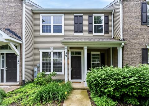 159 Springbrook Trl S, Oswego, IL 60543 photo 1