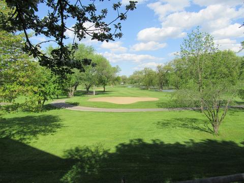 1627 Mccormack Dr, Hoffman Estates, IL 60169 photo 40
