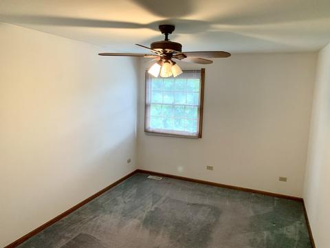 24141 Brown Ln, Plainfield, IL 60586 photo 24