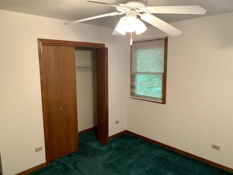 24141 Brown Ln, Plainfield, IL 60586 photo 26