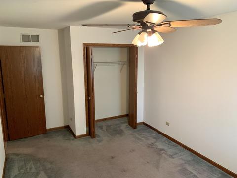 24141 Brown Ln, Plainfield, IL 60586 photo 25
