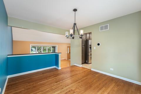729 E Bauer Rd, Naperville, IL 60563 photo 19