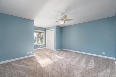729 E Bauer Rd, Naperville, IL 60563 photo 31