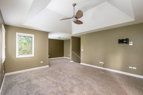 729 E Bauer Rd, Naperville, IL 60563 photo 35
