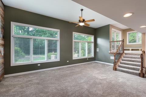 729 E Bauer Rd, Naperville, IL 60563 photo 24