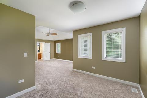 729 E Bauer Rd, Naperville, IL 60563 photo 36