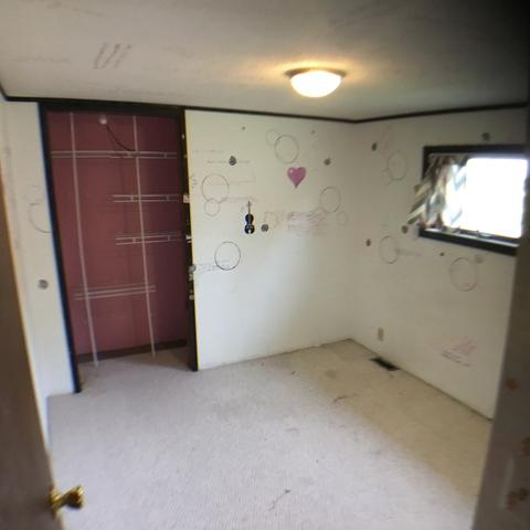 211 Locust St, Campus, IL 60920 photo 13