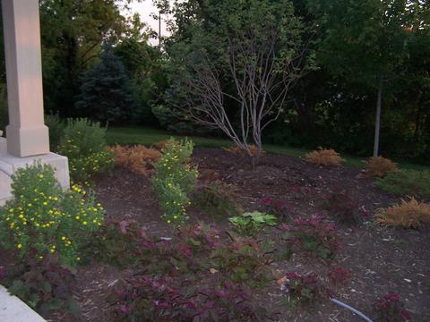504 Conservatory Ln, Aurora, IL 60502 photo 16