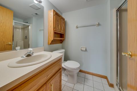 13434 E Circle Dr #403, Crestwood, IL 60445 photo 13
