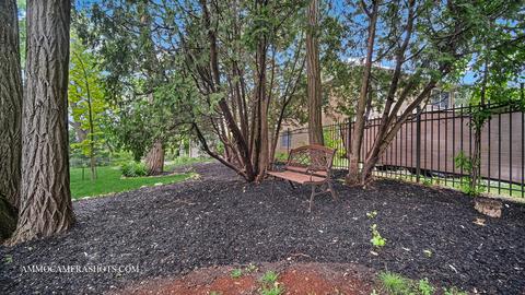 1845 Hickory Ln, Wheaton, IL 60187 photo 34