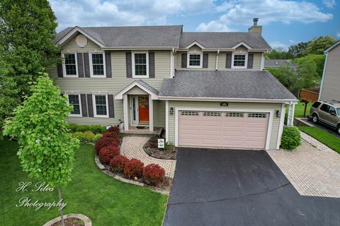 551 Terrace Dr, Algonquin, IL 60102 photo 1