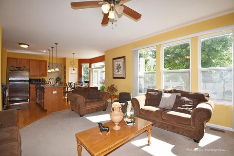 1408 Bridgehampton Dr, Plainfield, IL 60586 photo 9