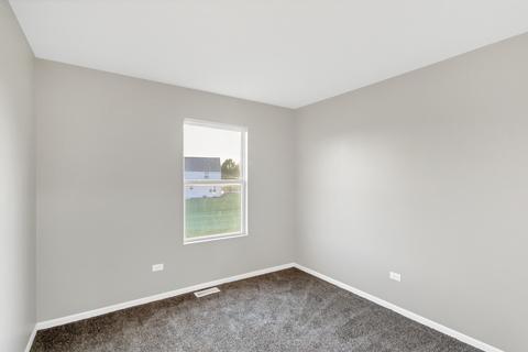 Undisclosed, Plainfield, IL 60586 photo 21