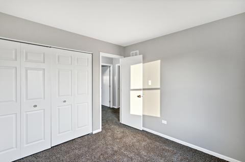 Undisclosed, Plainfield, IL 60586 photo 22