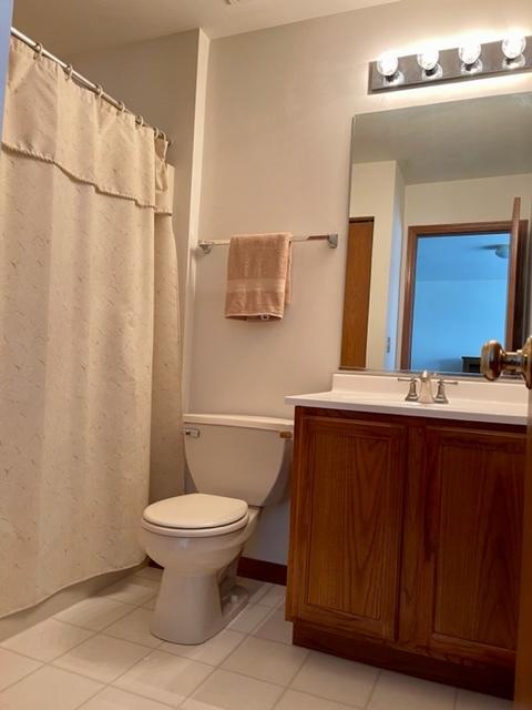 2008 Arbor Falls Dr, Plainfield, IL 60586 photo 9