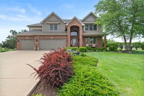2805 Ninovan Ln, Minooka, IL 60447 photo 1