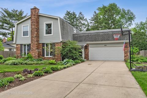 1620 Killdeer Dr, Naperville, IL 60565 photo 1