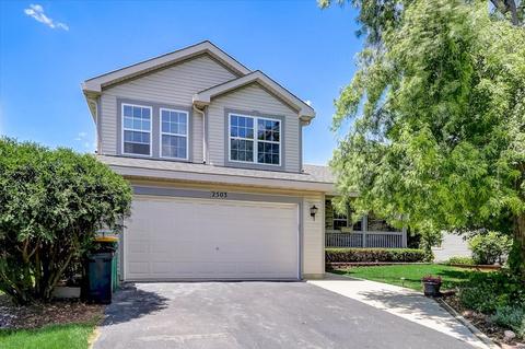 2503 River Bend Ln, Plainfield, IL 60586 photo 1