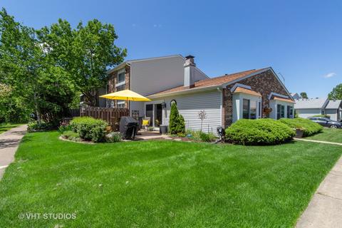 2007 Sudbury Dr, Hoffman Estates, IL 60169 photo 13