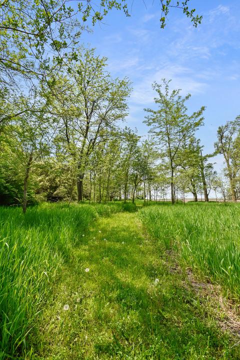 26937 E 3000 North Rd, Chenoa, IL 61726 photo 64