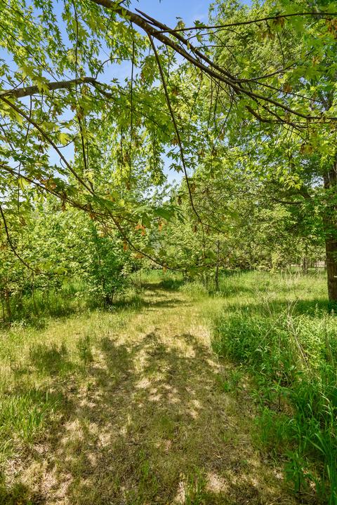 26937 E 3000 North Rd, Chenoa, IL 61726 photo 62