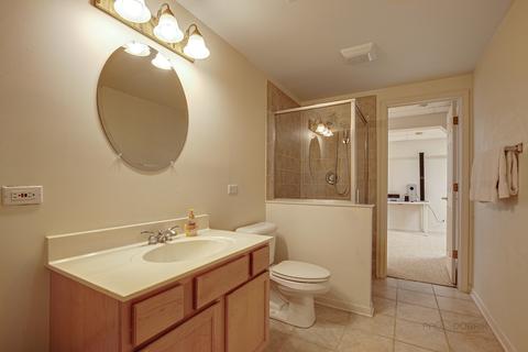 12880 W Sanctuary Ln, Lake Bluff, IL 60044 photo 27