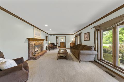 12110 S Wolf Dr, Plainfield, IL 60585 photo 4